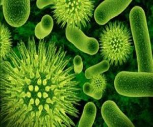 البكتيريا لقتل تسخين فيه الضاره سائل يسمى يسمى تسخين